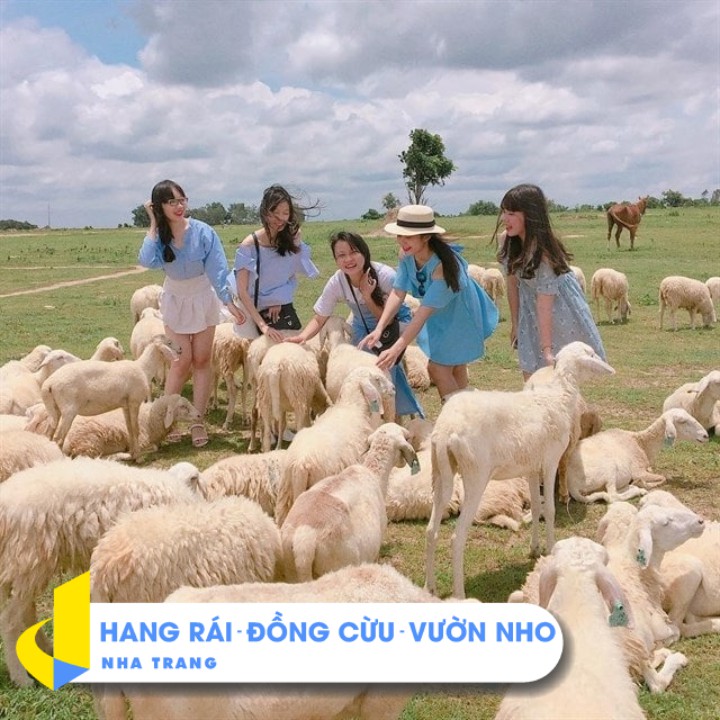NHA TRANG [E-Voucher] - Tour Hang Rái, Vĩnh Hy, Đồng Cừu -Tour 1 ngày, đón khách tại Nha Trang
