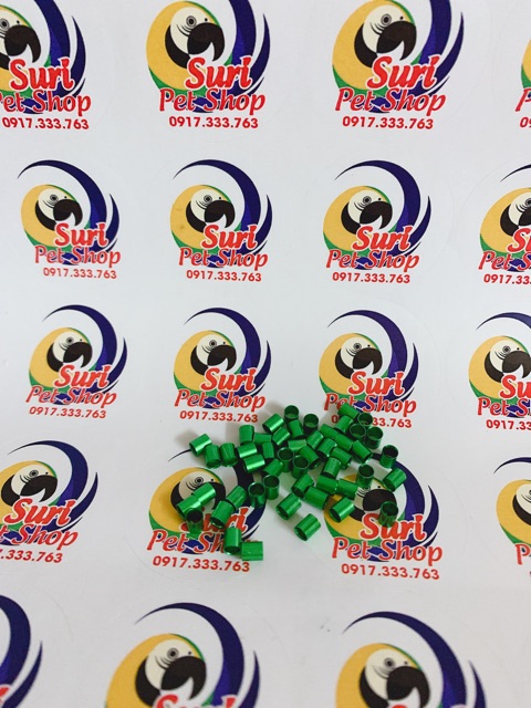 Vòng chân yến hót màu 2022