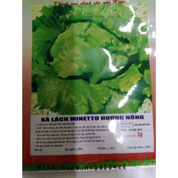 HẠT GIỐNG XÀ LÁCH MINETTO - GÓI 2 GRAM