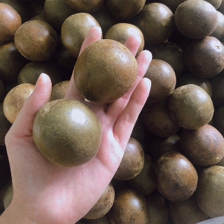 Combo 10 trái la hán quả(trái to,nguyên) | Tổng kho Nguyên liệu giá sỉ