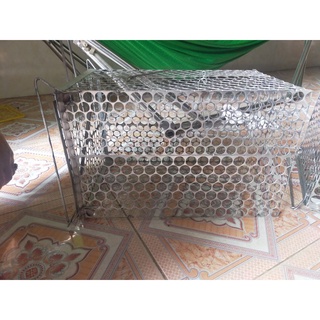 Lồng bẫy mèo chuột siêu to