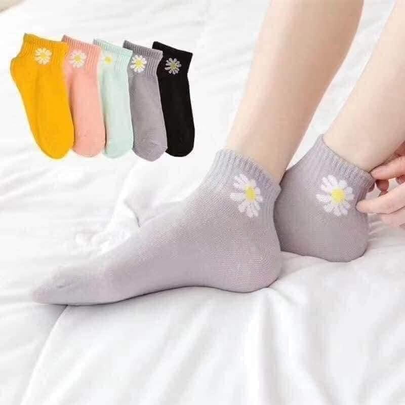 Tất nữ cổ ngắn cotton thêu hình cúc họa mi xinh xắn cả nhà dùng được