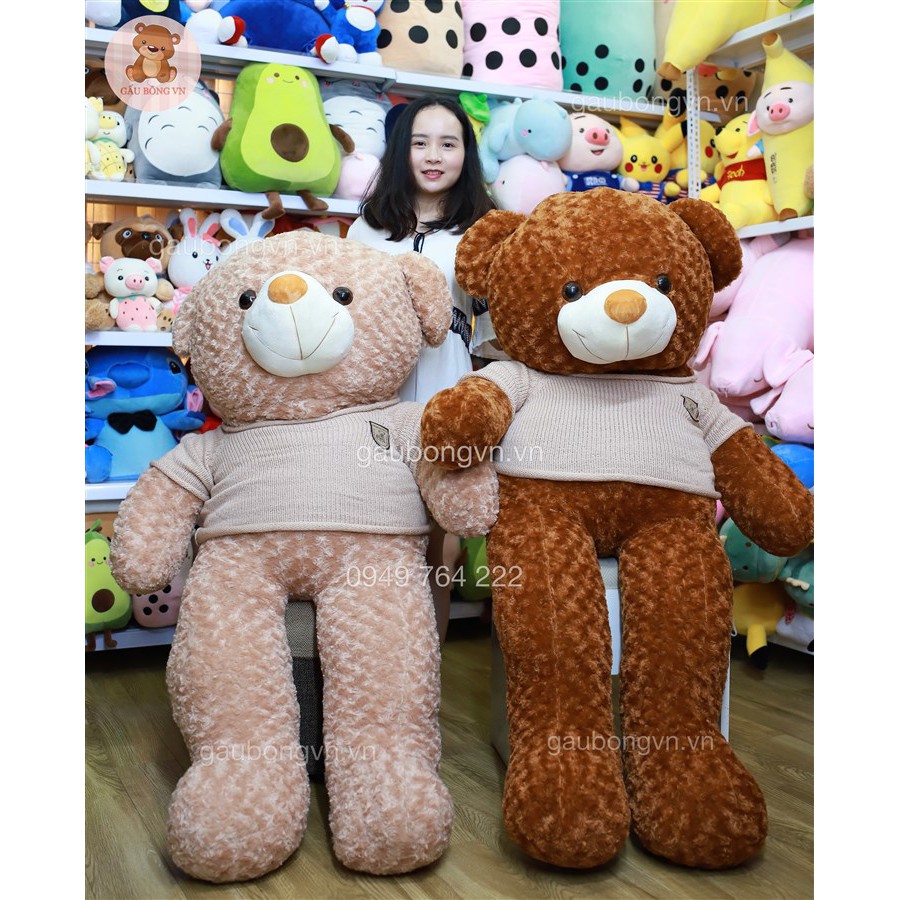 Gấu Bông Teddy Cao Cấp - Gấu Teddy Cao 80cm đến 1m6