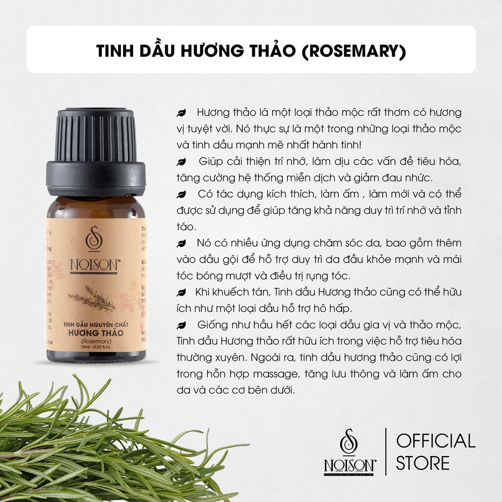 Tinh dầu Hương thảo Noison treo xe treo phòng | Rosemarry Essential Oil