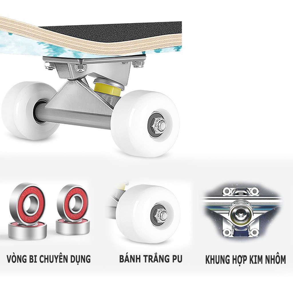 Ván Trượt Người Lớn Mặt Nhám CAO CẤP, Bánh Xe Có Đèn Led, Ván Trượt Thể Thao Skateboard Gỗ Phong Ép Chắc Chắn_Zenishop