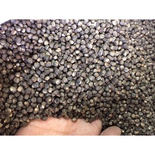 HẠT CHUỐI HỘT RỪNG SA PA (1kg)