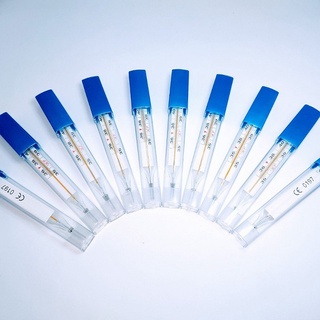 Nhiệt kế thủy ngân (1 hộp 12 chiếc bán sỉ)