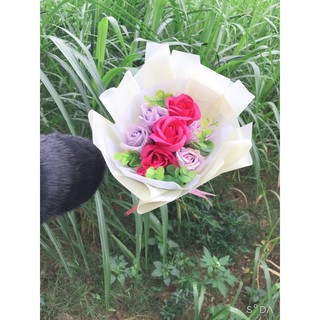 hoa sáp Vĩnh Cửu Bó 7 bông