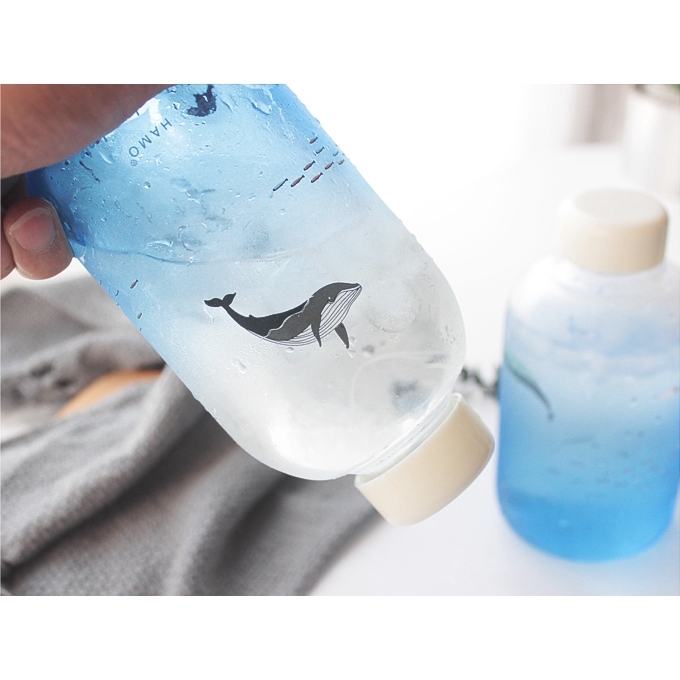 Bình Nước Thuỷ Tinh Màu Gradient