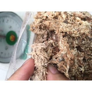 [Giá sỉ] Dớn trắng Chile (dớn mềm) chất trồng hoa lan 100gr