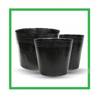 {10 cái} chậu nhựa trồng cây ươm cây giá rẻ màu đen dẻo mỏng (nhiều size C7,C8,C9,C10,C11)