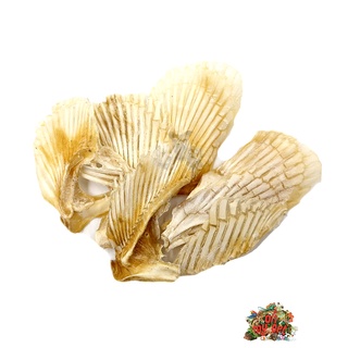 Vây cá 250g