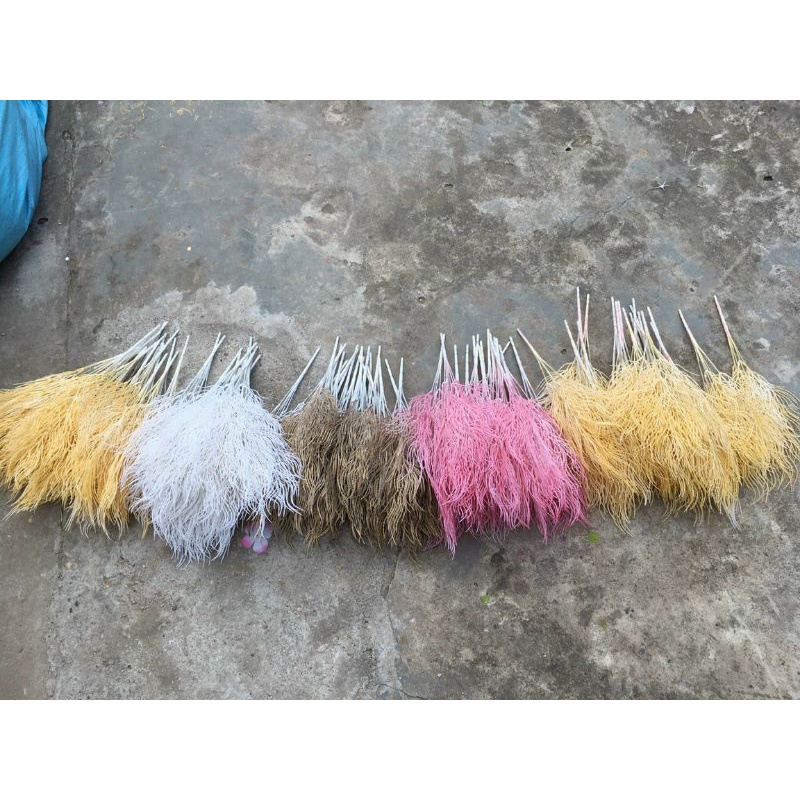 Điểm đuôi công siêu rẻ