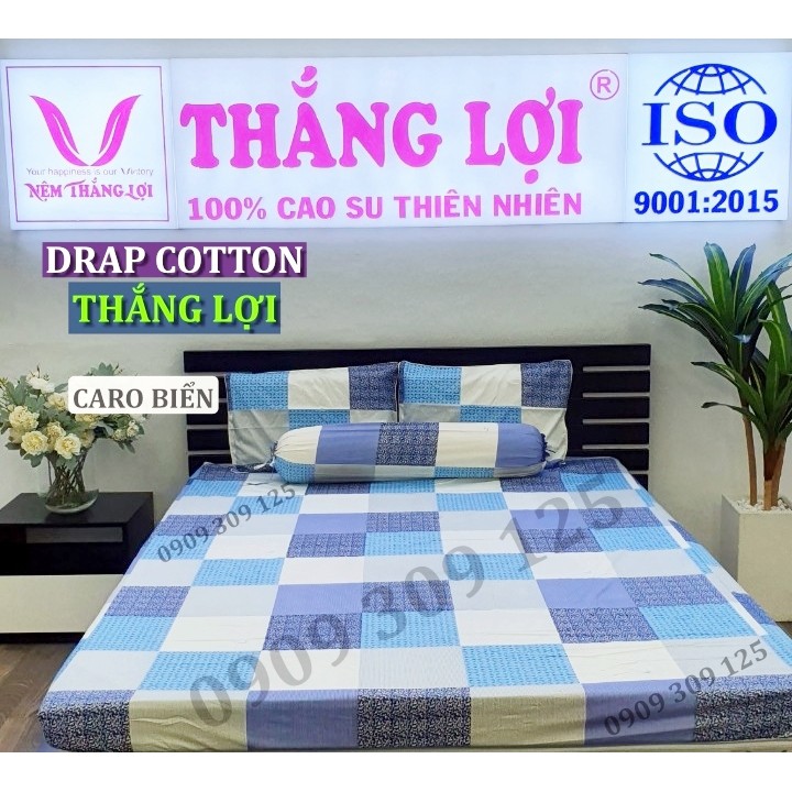 bộ drap cotton Thắng lợi chính hãng (4 món) chuẩn LOGO mẫu CARO BIỂN