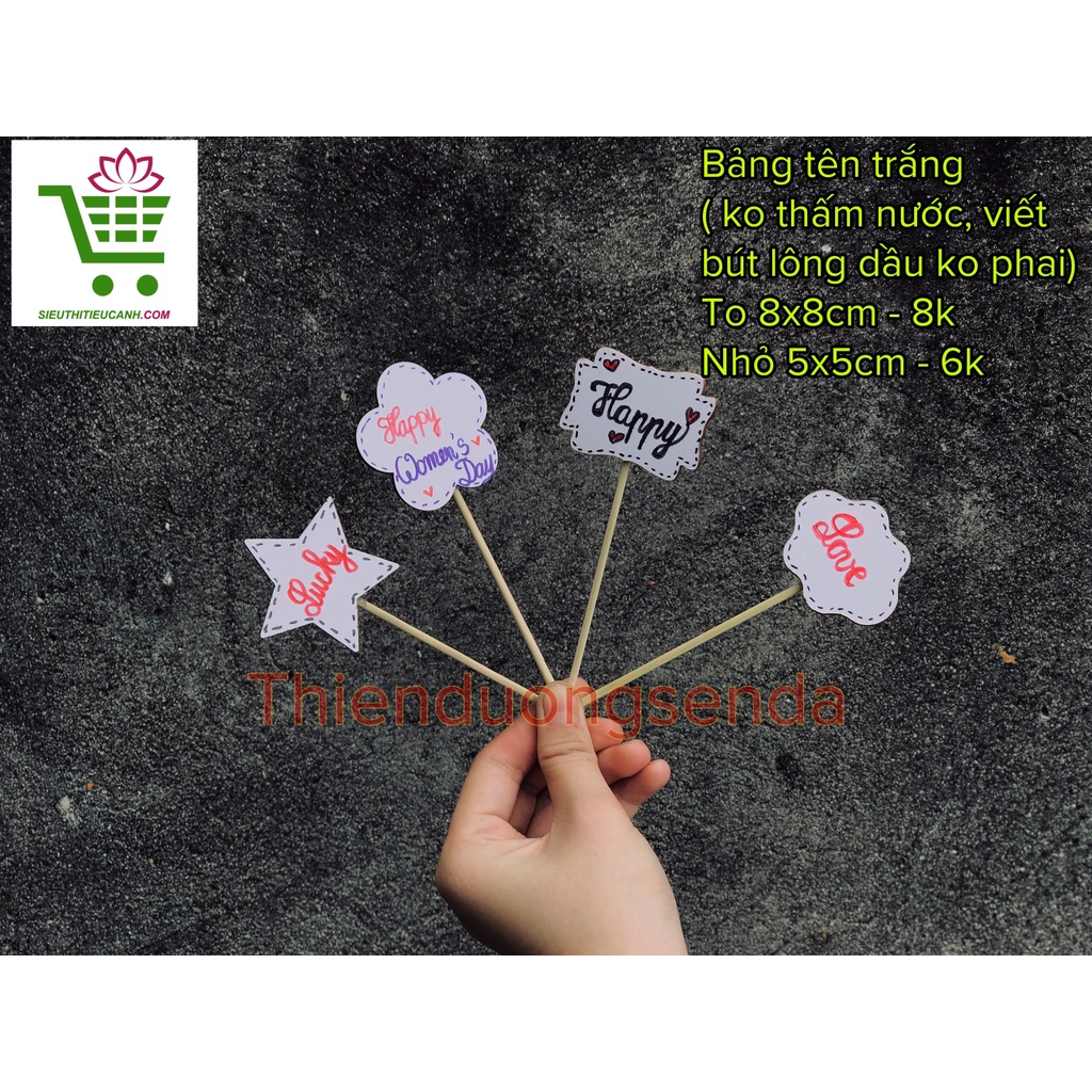 BẢNG TÊN NGÔI NHÀ, ĐÁM MÂY, NGÔI SAO, BÉ GẤU, TRÁ TIM, CỎ 3 LÁ TRANG TRÍ CHẬU CÂY
