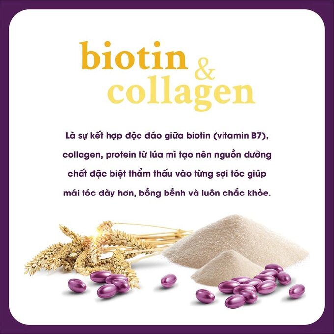 Cặp Gội Xả Biotin & Collagen 385ml