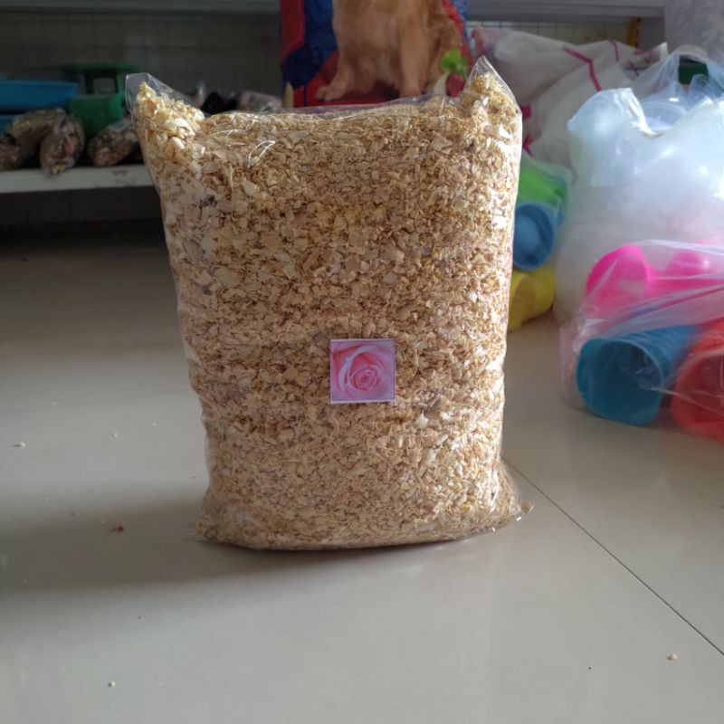 cát tắm  chăm sóc Hamster