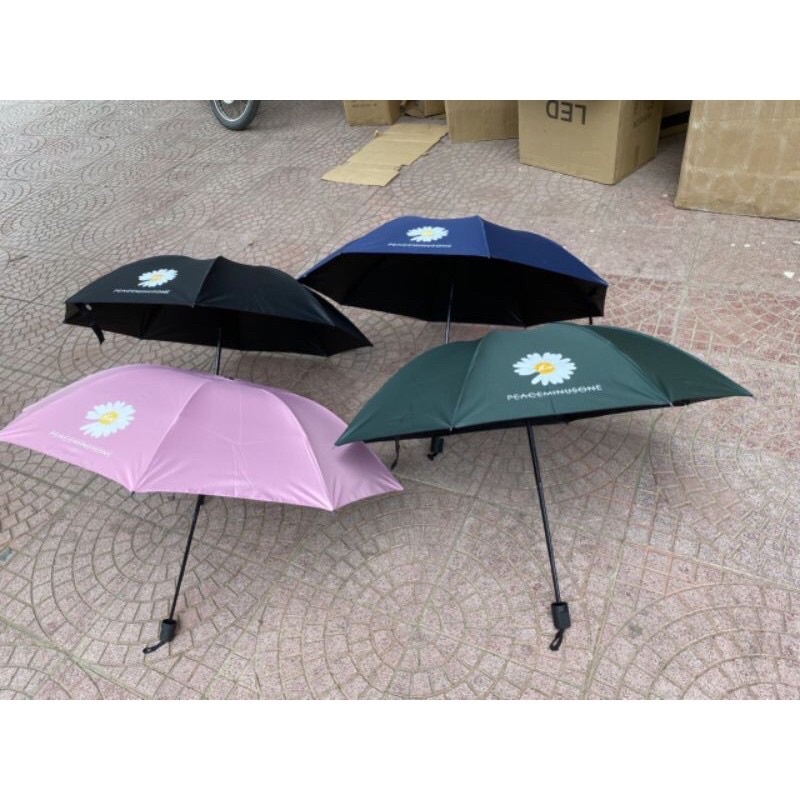 Ô HOA CÚC GẤP GỌN