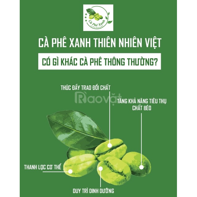 Cà Phê Xanh Thiên Nhiên Việt