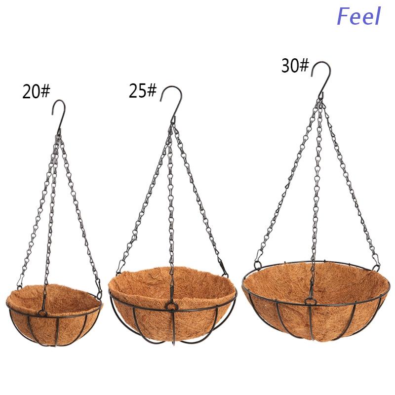 Chậu trồng cây treo tường bằng sắt thiết kế độc đáo trang trí nhà cửa
