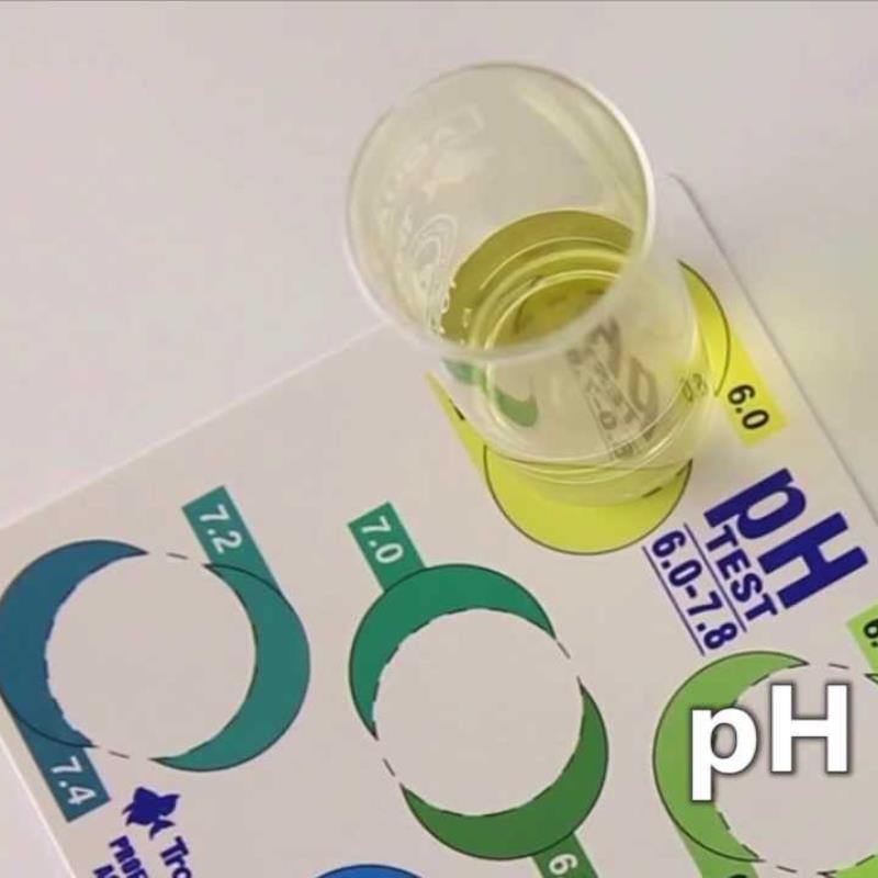 Dung dịch giảm độ PH PHD-500 ml, PH down, Điều tiết Căn chỉnh PH của nước