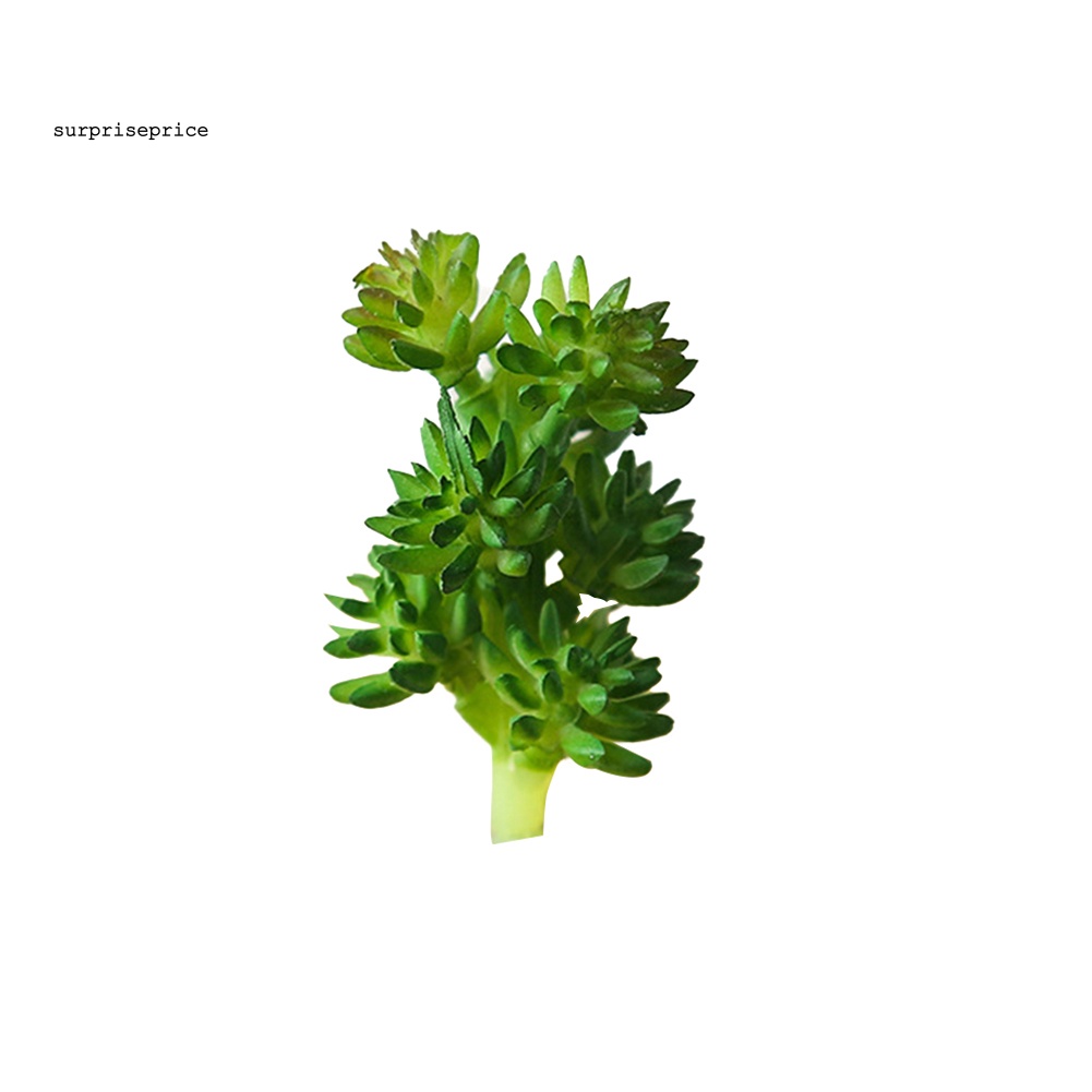 1 Cây Mọng Nước Nhân Tạo Dùng Cho Trang Trí