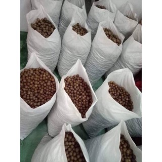 [FREE SHIP] HẠT MACCA LÂM ĐỒNG NỨT VỎ TỰ NHIÊN ( tặng kèm khui)