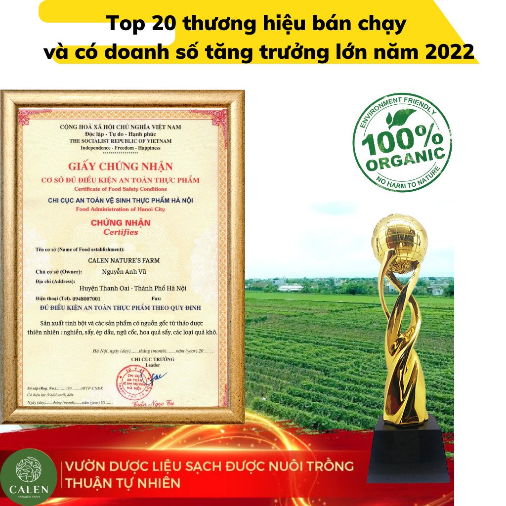 Trà dạ dày đại tràng, chống trào ngược, đầy hơi, ợ chua, ức chế vi khuẩn HP - CALEN NATURE FARM
