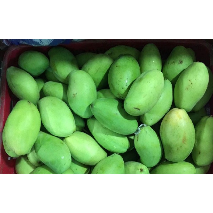 Xoài xanh  1kg - - giao hàng ifast - ifast.com.vn - cbig.vn - hệ thống tạp hóa cbig.vn