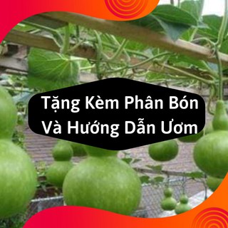 Combo 2 Gói Hạt Giống Bầu Hồ Lô