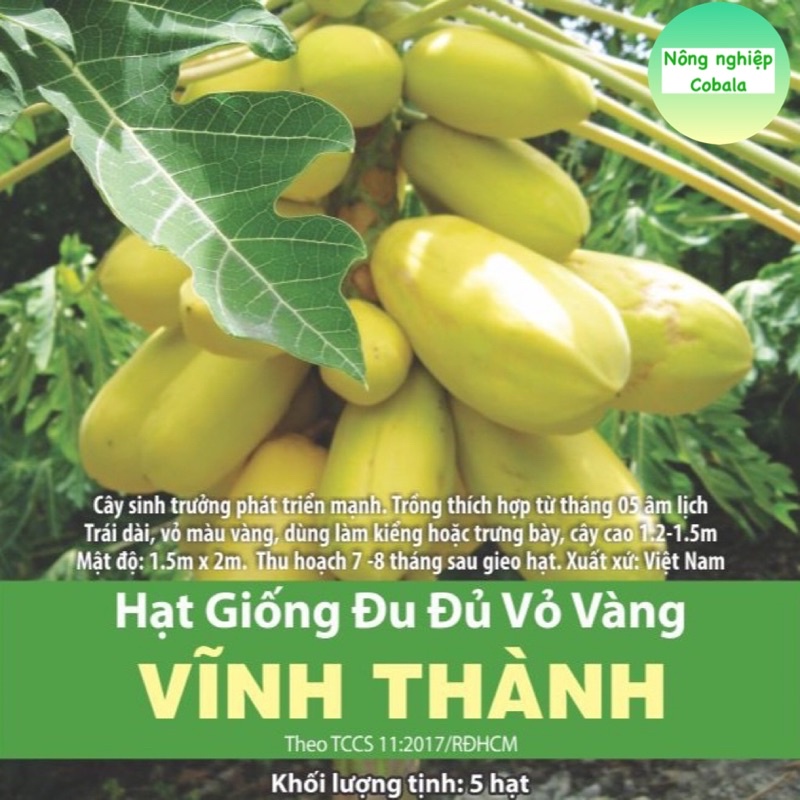 Hạt Giống Đu Đủ Vỏ Vàng (Vĩnh Thành) 5 Hạt