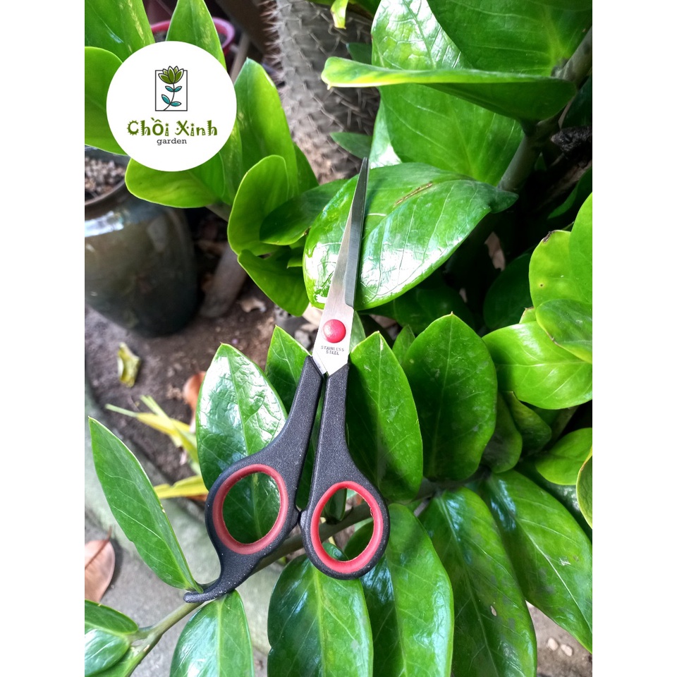 KÉO CẮT TỈA CÂY KÉO LÀM VƯỜN