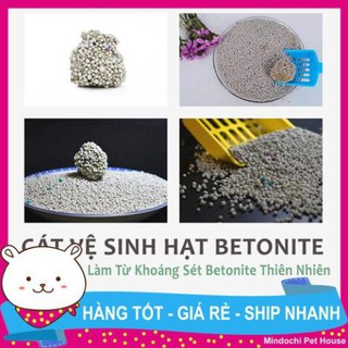 Cat vệ sinh cho mèo