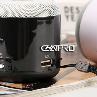 Loa Bluetooth WS Y90B