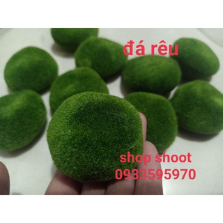 Đá Rêu cục trang trí( bịch to)