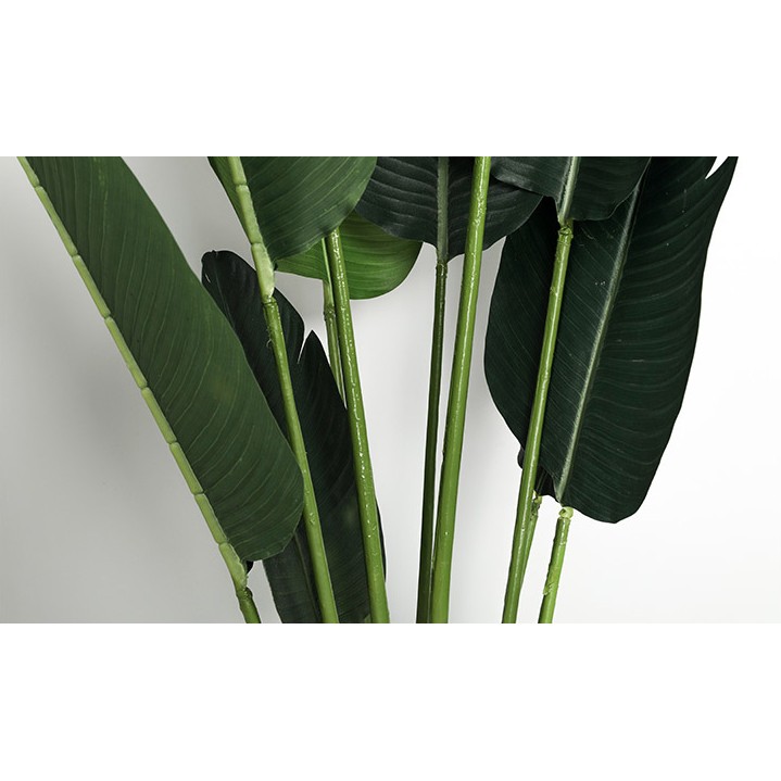 Cây chuối cảnh giả trang trí bằng nhựa 1m6 - Jassi Decor