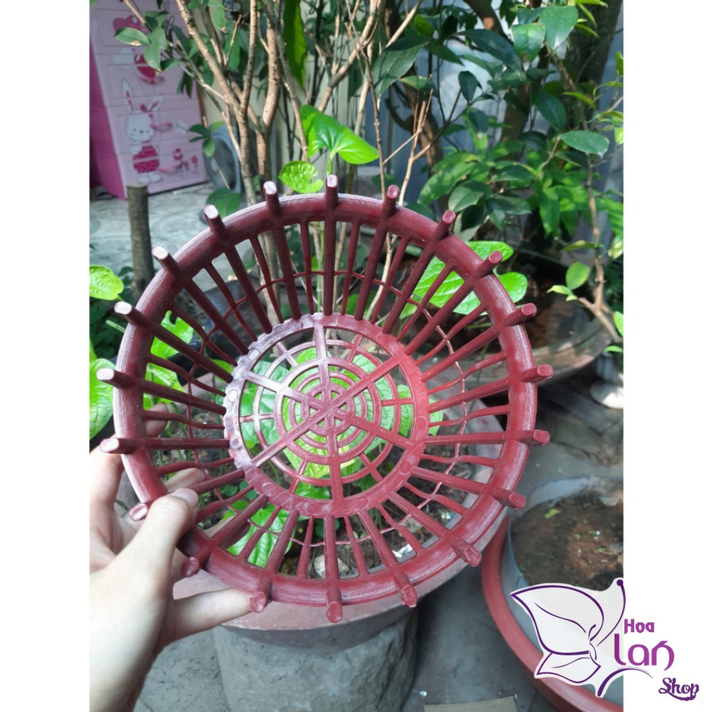 Chậu Nhựa Trồng Lan ⚜️Tặng Túi Lót Chậu ⚜️ Có Nan Phụ - Chống Rơi Giá Thể F20 - 25 - 30