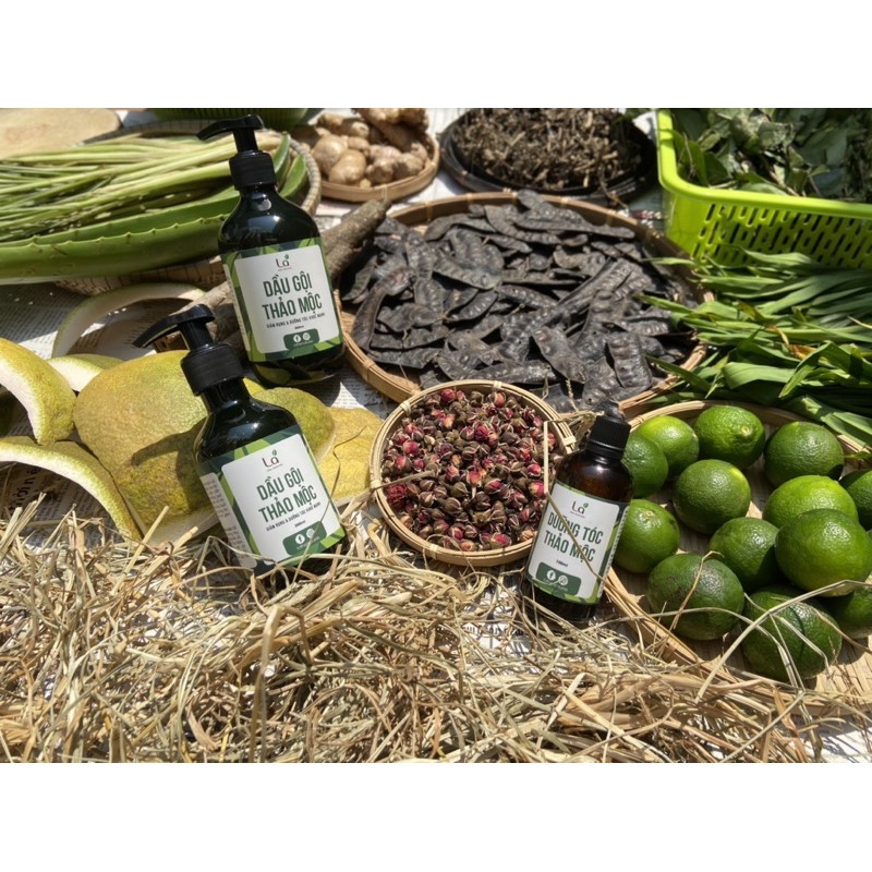 Combo Tiết Kiệm (Dầu gội, Xả, Dưỡng tóc, Tắm) | BigBuy360 - bigbuy360.vn