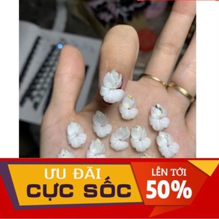 Hoa ly đá - Hoa bột nail mẫu mới
