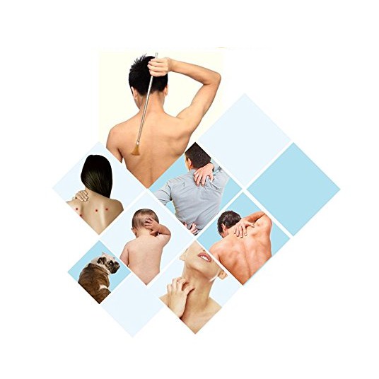 Gậy Gãi Lưng Rút Gọn Anten- Nhỏ Gọn, Tiện Dụng