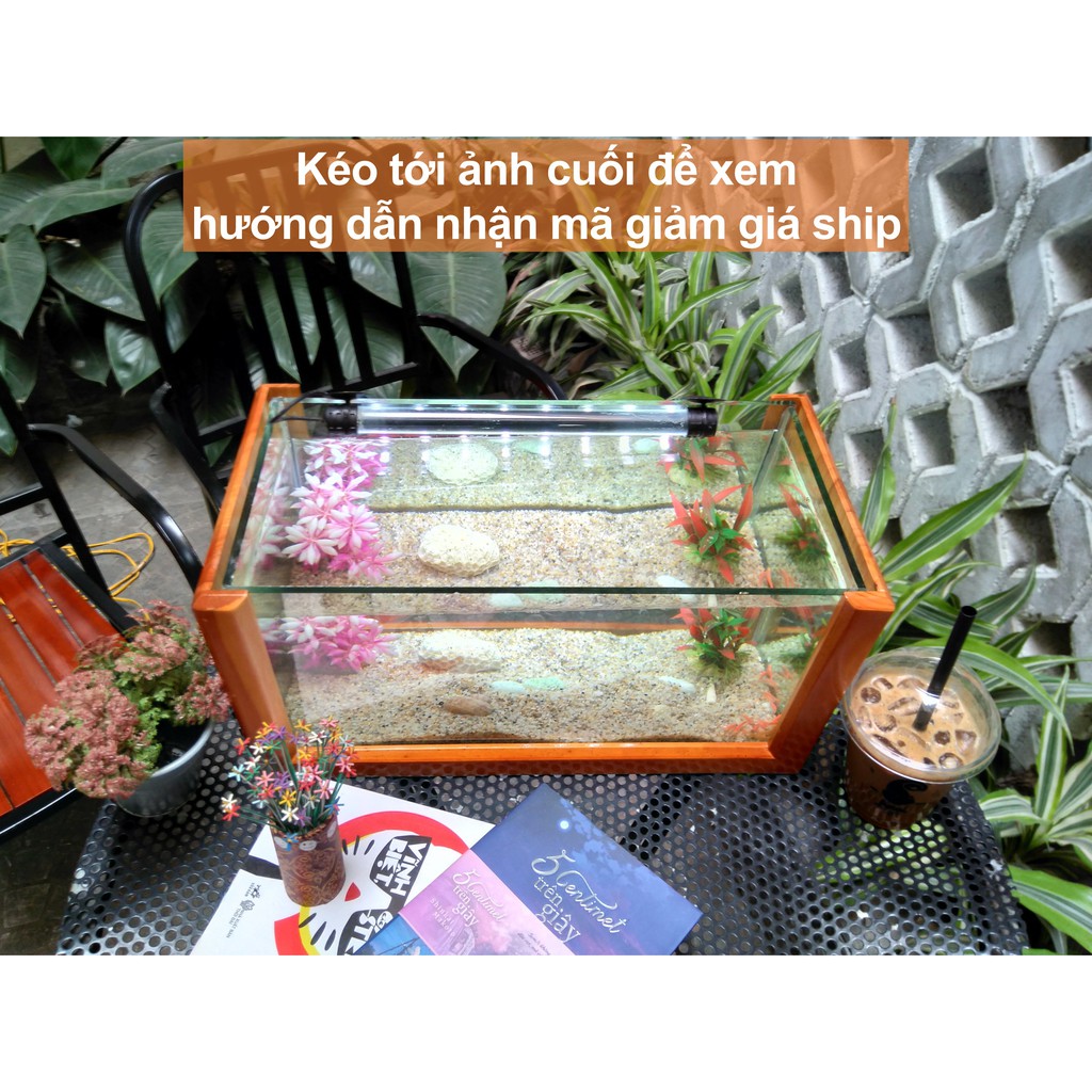 Bể cá mini khung gỗ cỡ lớn - 40 x 20 x 20 (cm)