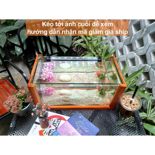 Bể cá mini khung gỗ cỡ lớn - 40 x 20 x 20 (cm)