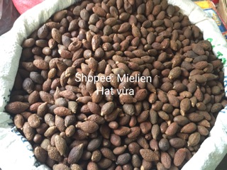 Hạt đười ươi bay sẻ Đồng Nai hạt vừa 500g