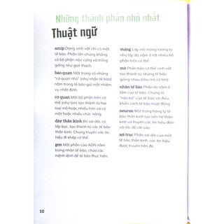Cơ Thể Người Trong 30 Giây