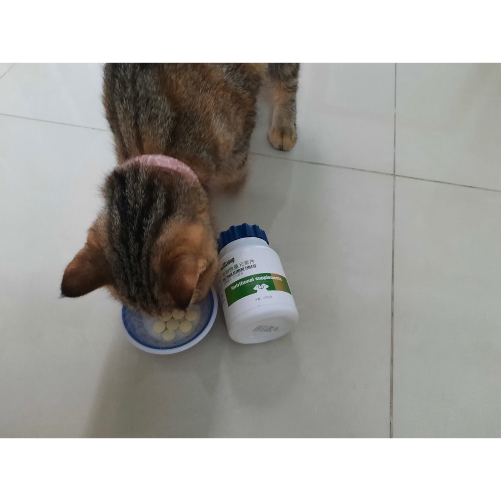 1 viên Vitamin cho chó mèo Borammy canxi giải độc gan thận khoáng vi lượng mượt lông taurine cho mèo bầu