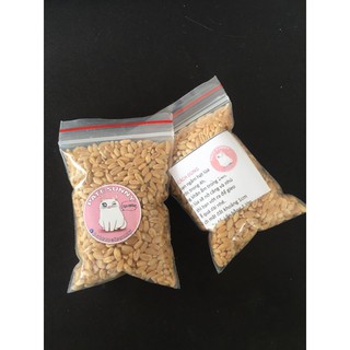 Hạt mầm lúa mì/ hạt mầm cỏ mèo 100g