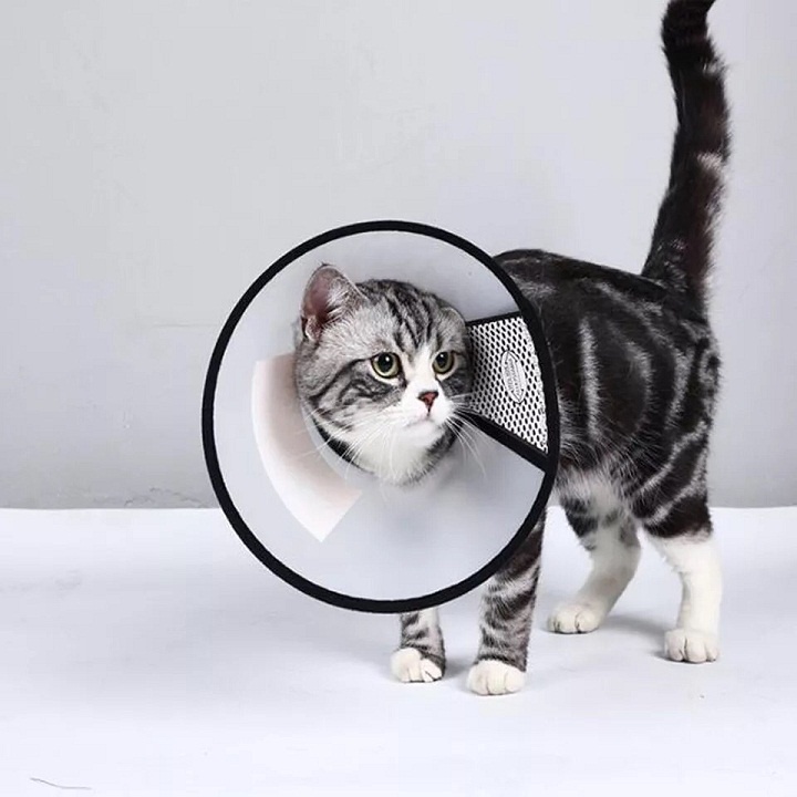 Loa chống liếm cho chó mèo - Vòng cổ chống liếm, chống cắn bảo vệ thú cưng - 8 Size