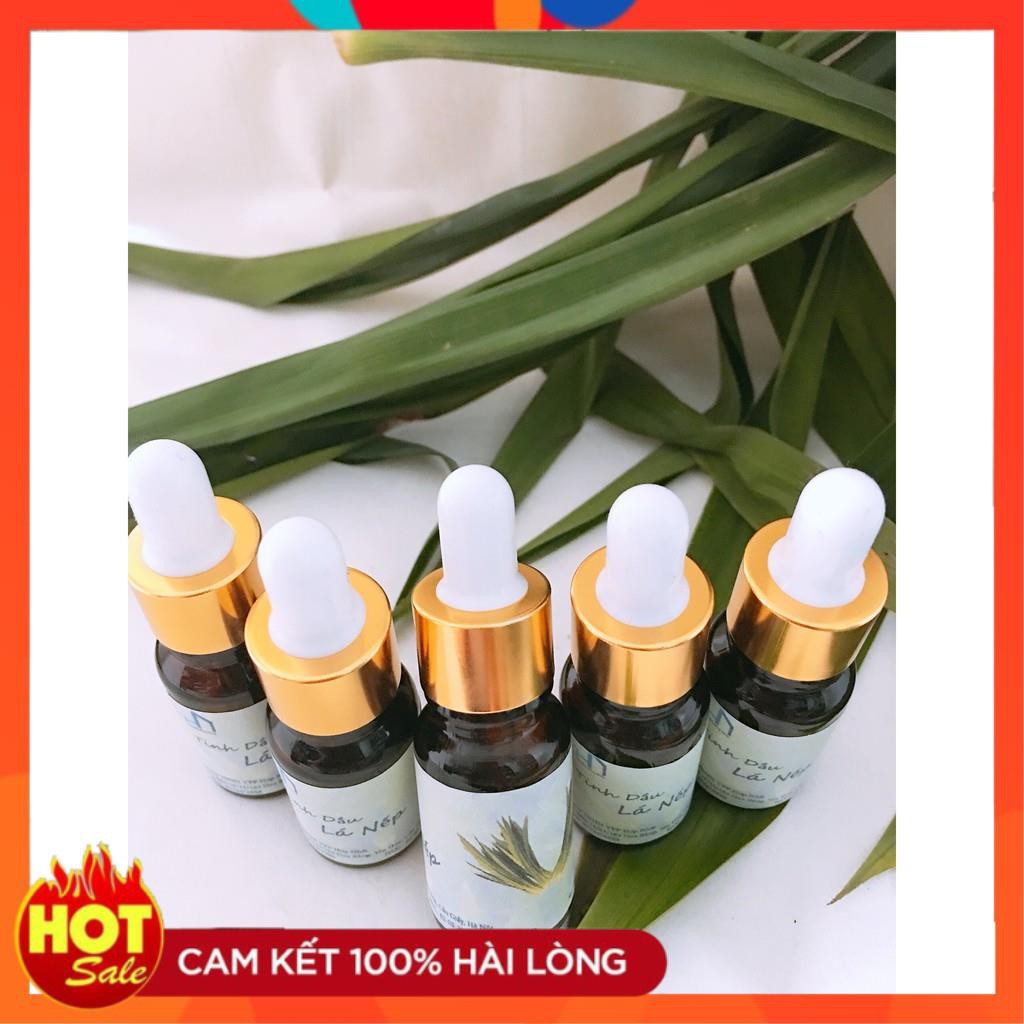 Combo 05 lọ tinh dầu Lá Nếp 10ml