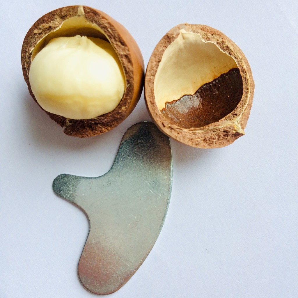 500g Hạt MACCA sấy Lạnh Size CHỢ (19-23mm) | BigBuy360 - bigbuy360.vn