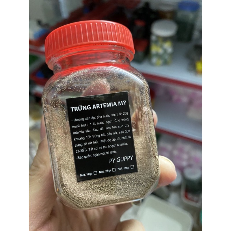 50 gram trứng artemia Mỹ nở siêu tốt